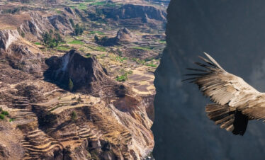 CAÑON DEL COLCA CONVENCIONAL – 2 DIAS / 1 NOITE